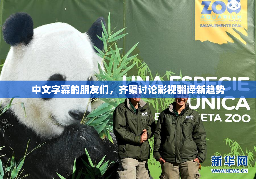 中文字幕的朋友们，齐聚讨论影视翻译新趋势