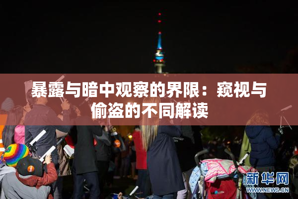 暴露与暗中观察的界限：窥视与偷盗的不同解读