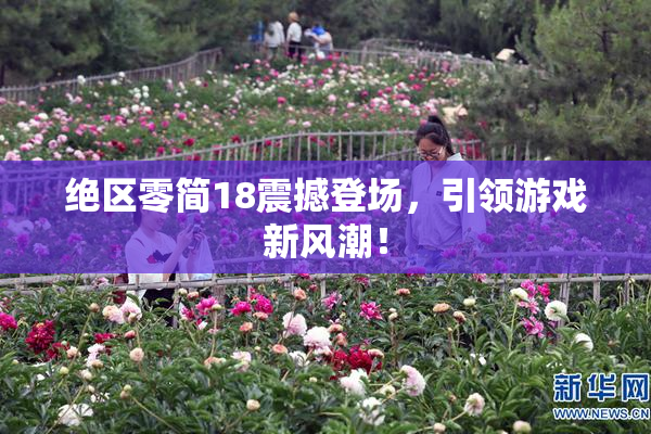 绝区零简18震撼登场，引领游戏新风潮！