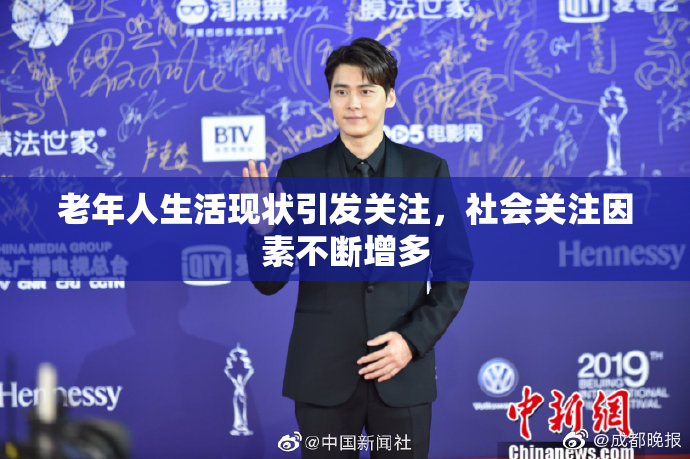 老年人生活现状引发关注，社会关注因素不断增多