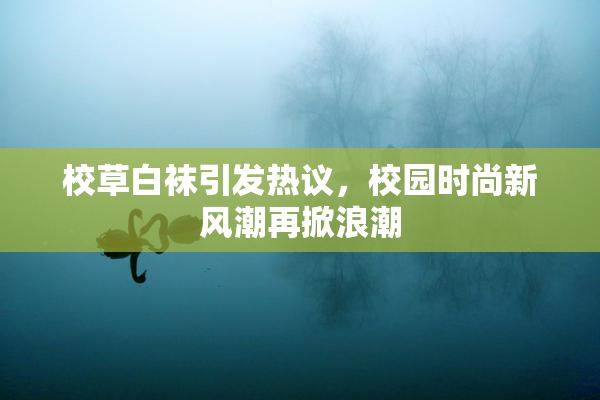 校草白袜引发热议，校园时尚新风潮再掀浪潮