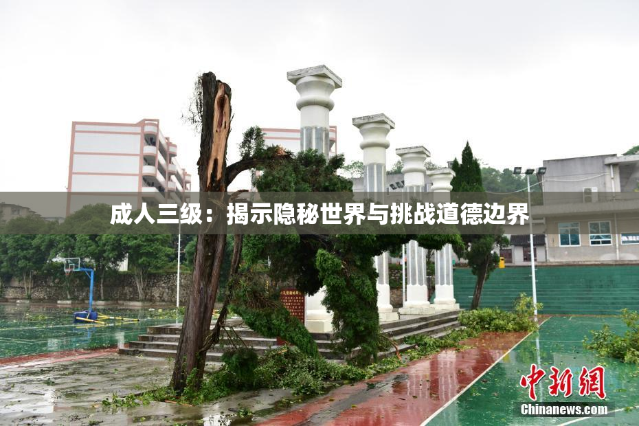 成人三级：揭示隐秘世界与挑战道德边界