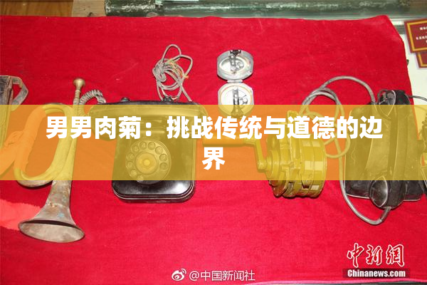 男男肉菊：挑战传统与道德的边界