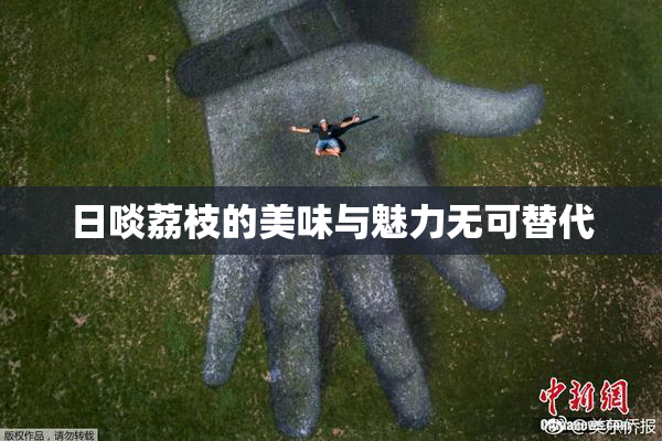 日啖荔枝的美味与魅力无可替代