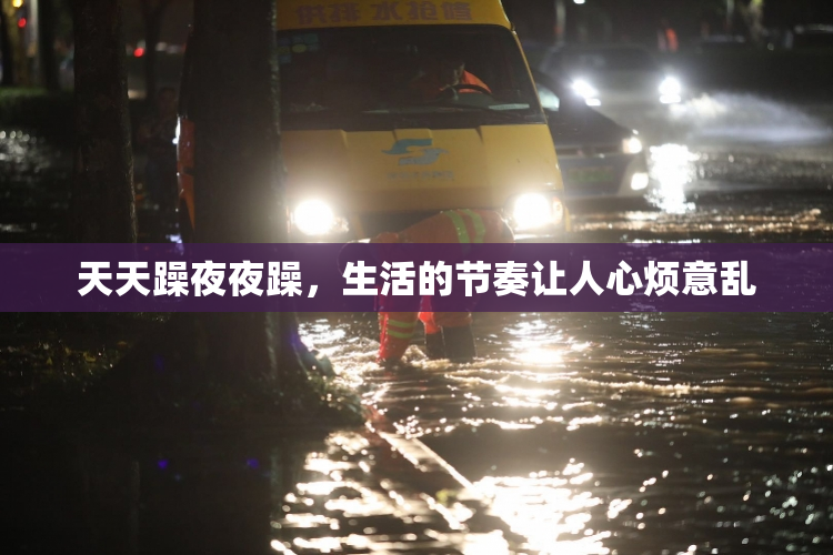 天天躁夜夜躁，生活的节奏让人心烦意乱