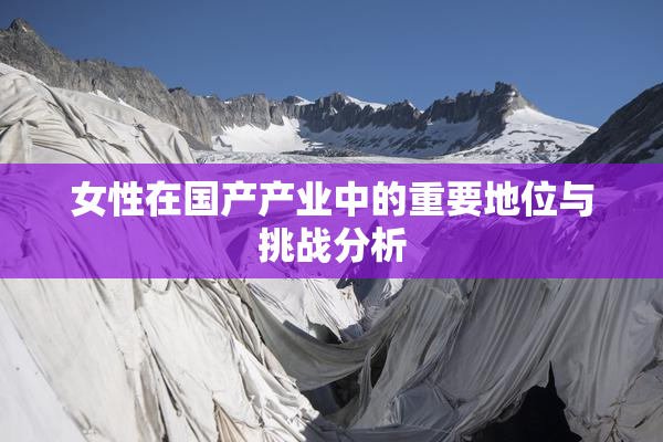 女性在国产产业中的重要地位与挑战分析