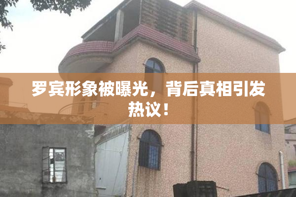 罗宾形象被曝光，背后真相引发热议！