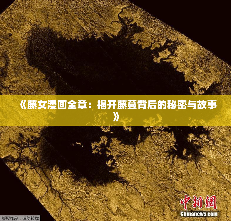 《藤女漫画全章：揭开藤蔓背后的秘密与故事》