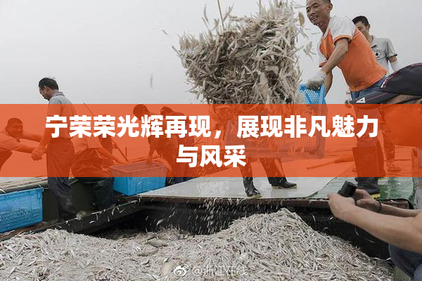 宁荣荣光辉再现，展现非凡魅力与风采