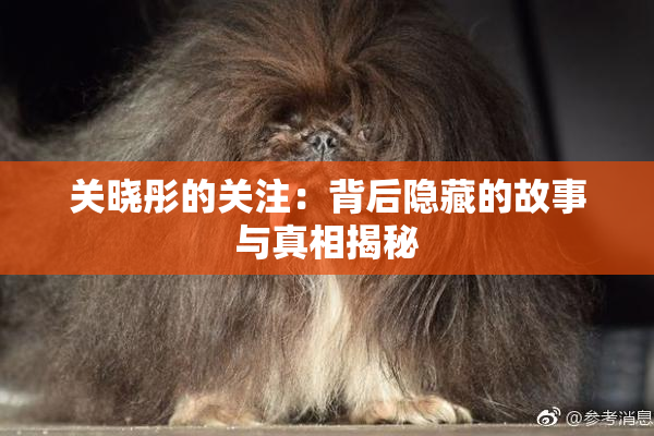 关晓彤的关注：背后隐藏的故事与真相揭秘