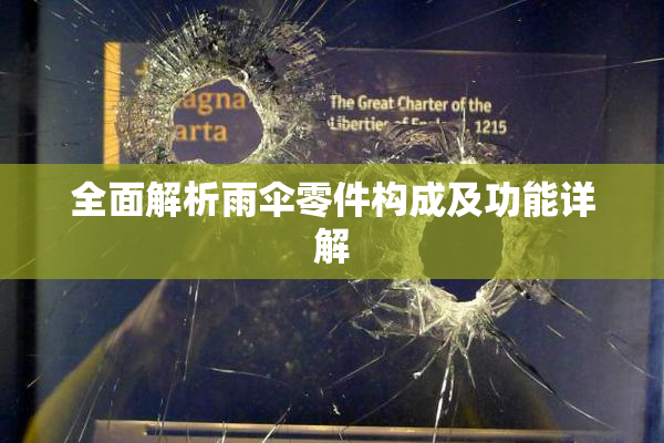 全面解析雨伞零件构成及功能详解
