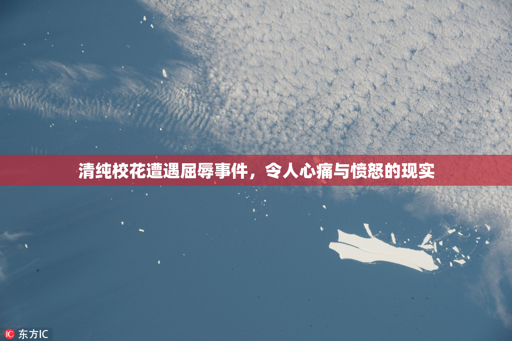 清纯校花遭遇屈辱事件，令人心痛与愤怒的现实