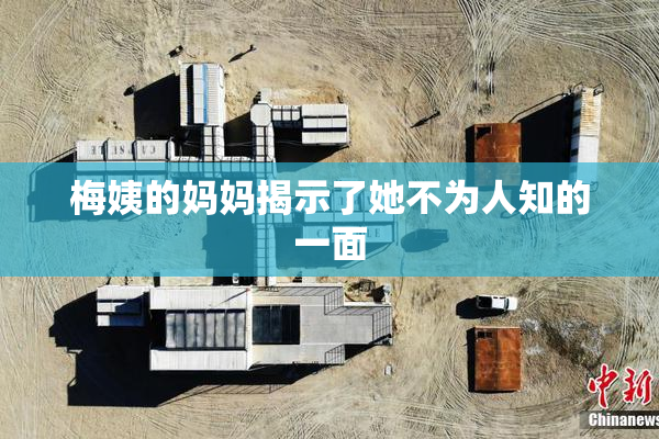 梅姨的妈妈揭示了她不为人知的一面