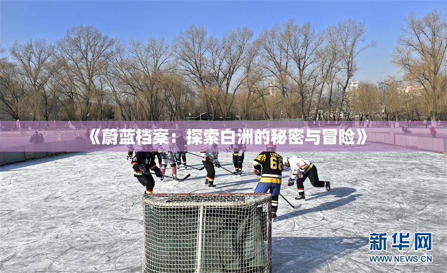 《蔚蓝档案：探索白洲的秘密与冒险》