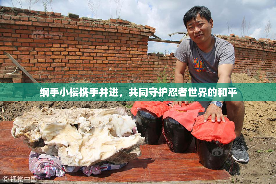 纲手小樱携手并进，共同守护忍者世界的和平