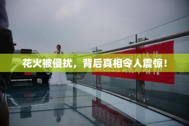 花火被侵扰，背后真相令人震惊！