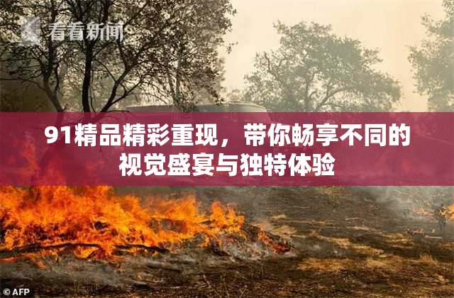 91精品精彩重现，带你畅享不同的视觉盛宴与独特体验