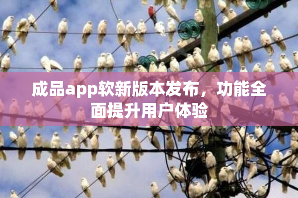 成品app软新版本发布，功能全面提升用户体验