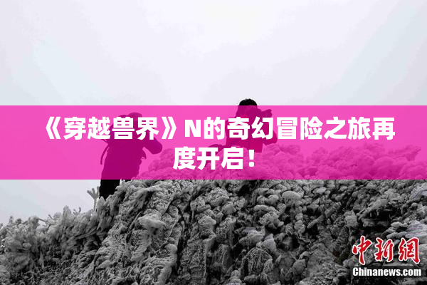 《穿越兽界》N的奇幻冒险之旅再度开启！