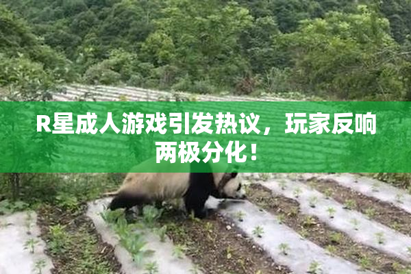 R星成人游戏引发热议，玩家反响两极分化！