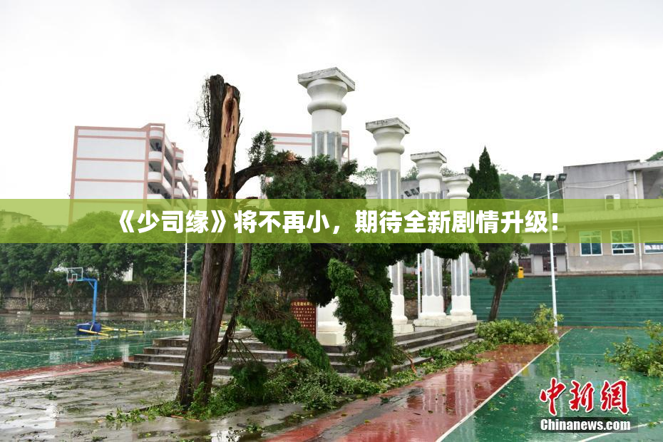 《少司缘》将不再小，期待全新剧情升级！