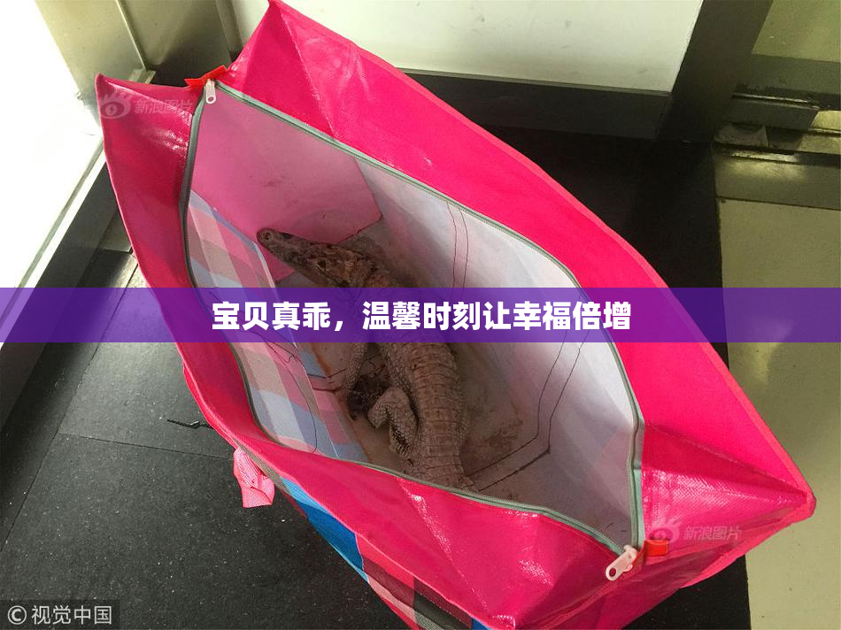 宝贝真乖，温馨时刻让幸福倍增