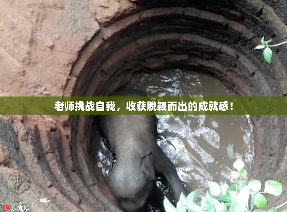 老师挑战自我，收获脱颖而出的成就感！