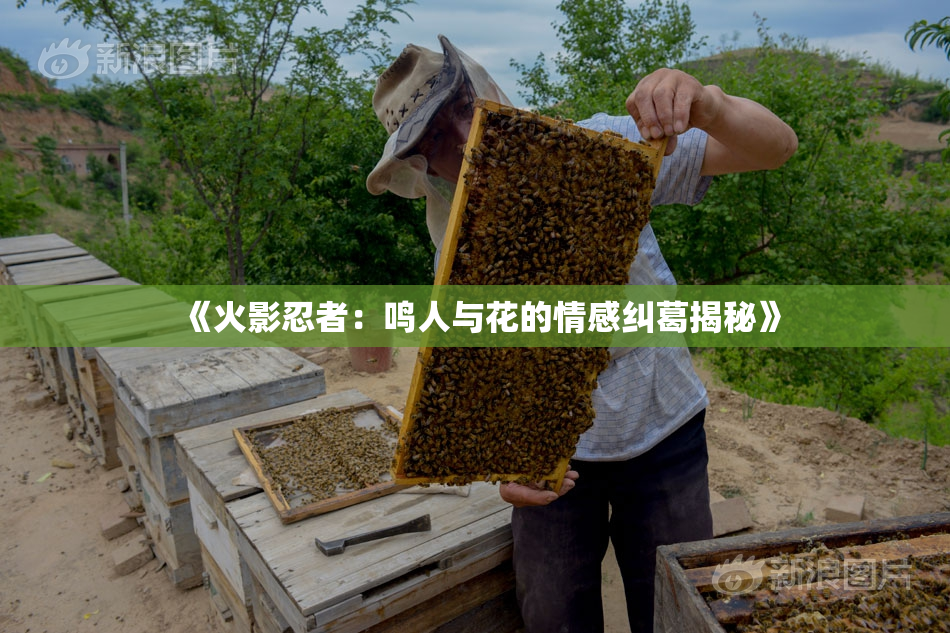 《火影忍者：鸣人与花的情感纠葛揭秘》