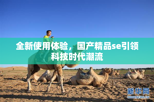 全新使用体验，国产精品se引领科技时代潮流