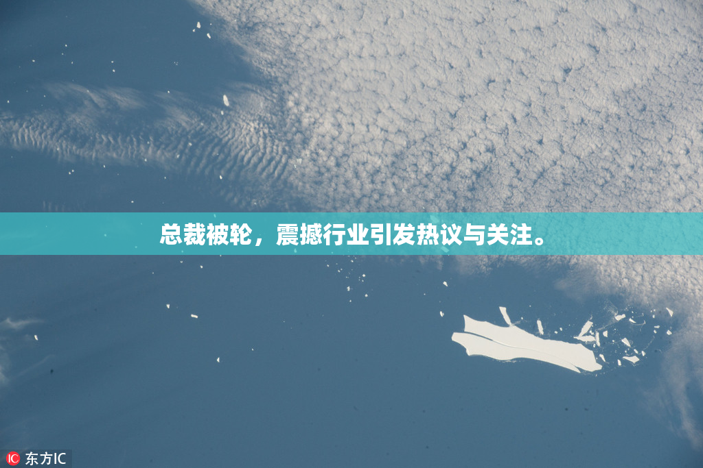 总裁被轮，震撼行业引发热议与关注。