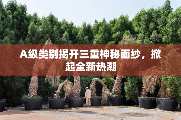 A级类别揭开三重神秘面纱，掀起全新热潮
