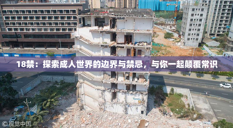 18禁：探索成人世界的边界与禁忌，与你一起颠覆常识