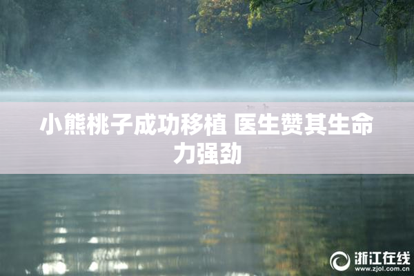 小熊桃子成功移植 医生赞其生命力强劲