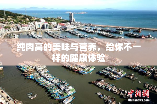纯肉高的美味与营养，给你不一样的健康体验