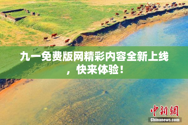 九一免费版网精彩内容全新上线，快来体验！