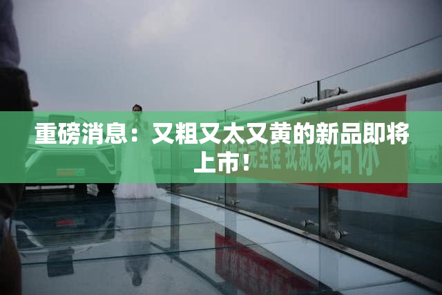 重磅消息：又粗又太又黄的新品即将上市！
