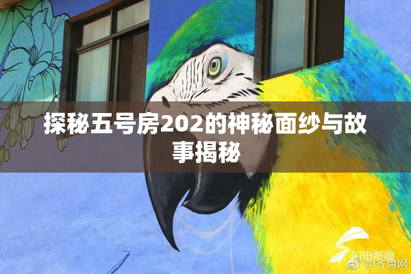 探秘五号房202的神秘面纱与故事揭秘