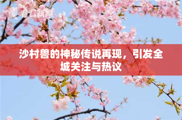 沙村兽的神秘传说再现，引发全城关注与热议