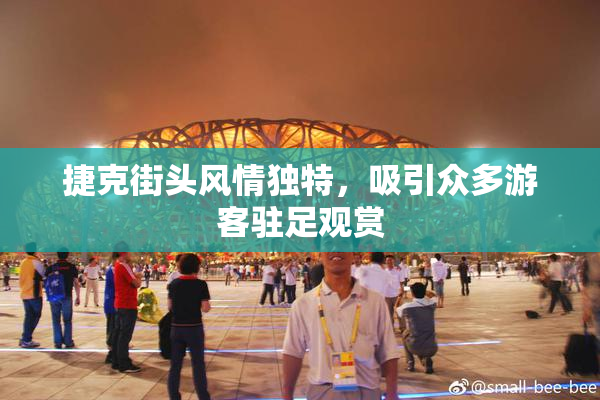 捷克街头风情独特，吸引众多游客驻足观赏
