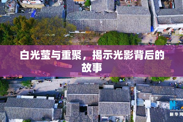 白光莹与重聚，揭示光影背后的故事