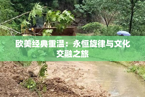 欧美经典重温：永恒旋律与文化交融之旅