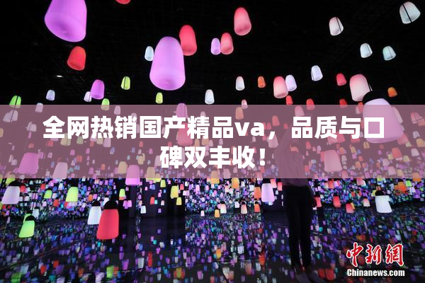 全网热销国产精品va，品质与口碑双丰收！