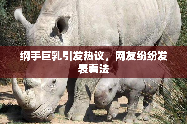 纲手巨乳引发热议，网友纷纷发表看法