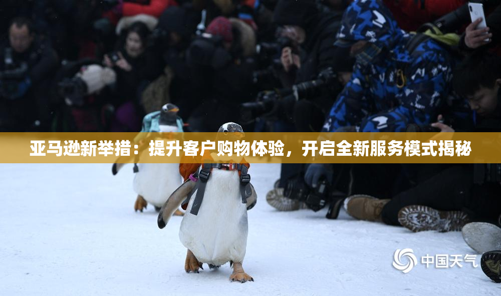 亚马逊新举措：提升客户购物体验，开启全新服务模式揭秘