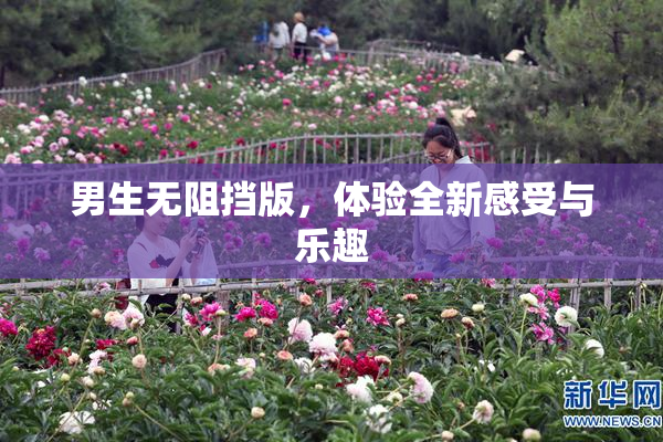 男生无阻挡版，体验全新感受与乐趣