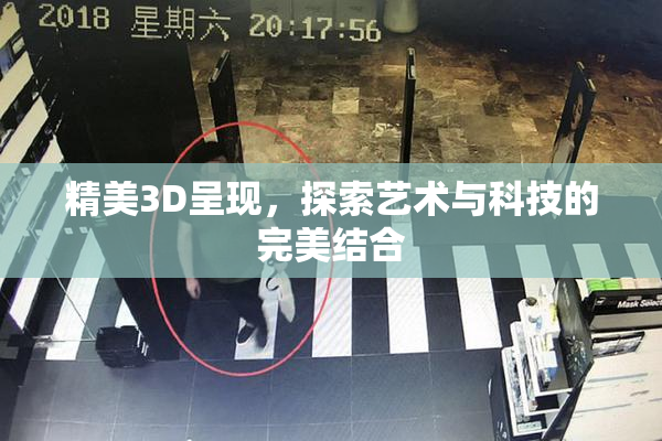精美3D呈现，探索艺术与科技的完美结合