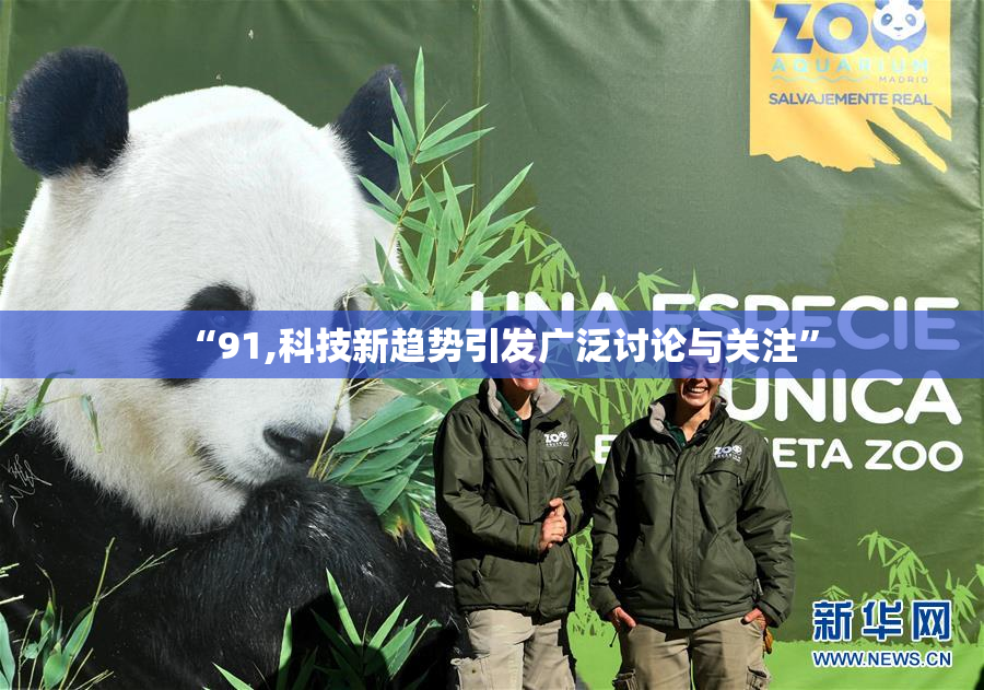 “91,科技新趋势引发广泛讨论与关注”