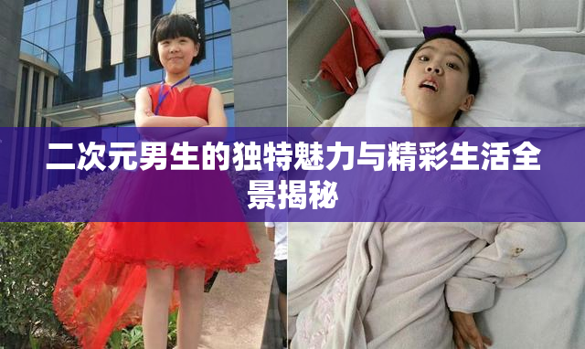 二次元男生的独特魅力与精彩生活全景揭秘