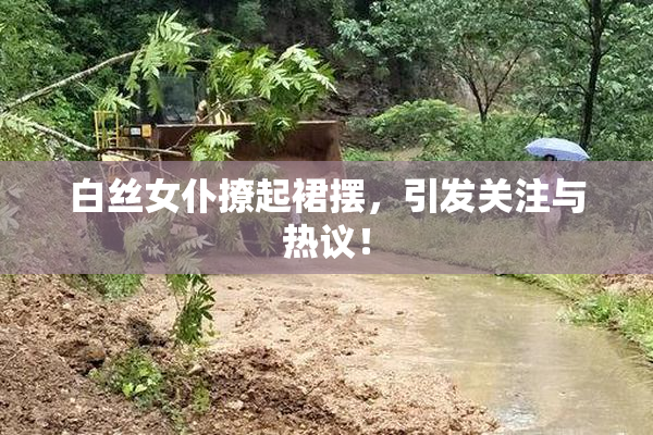 白丝女仆撩起裙摆，引发关注与热议！