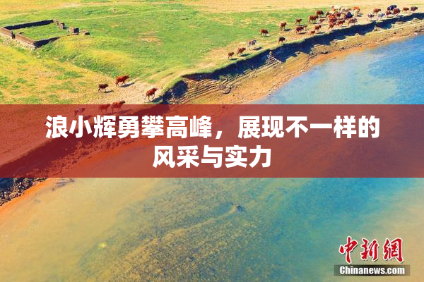 浪小辉勇攀高峰，展现不一样的风采与实力